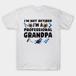 Professional Grandpa T-Shirt